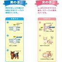 [ 正規品 ] P.one マナーホルダー Active 男の子用 Lサイズ [ 第一衛材 男の子のためのマナーホルダー アクティブ 犬 マナー用品 おでかけ マーキング おもらし 介護 国産 小型犬 中型犬 ] 3