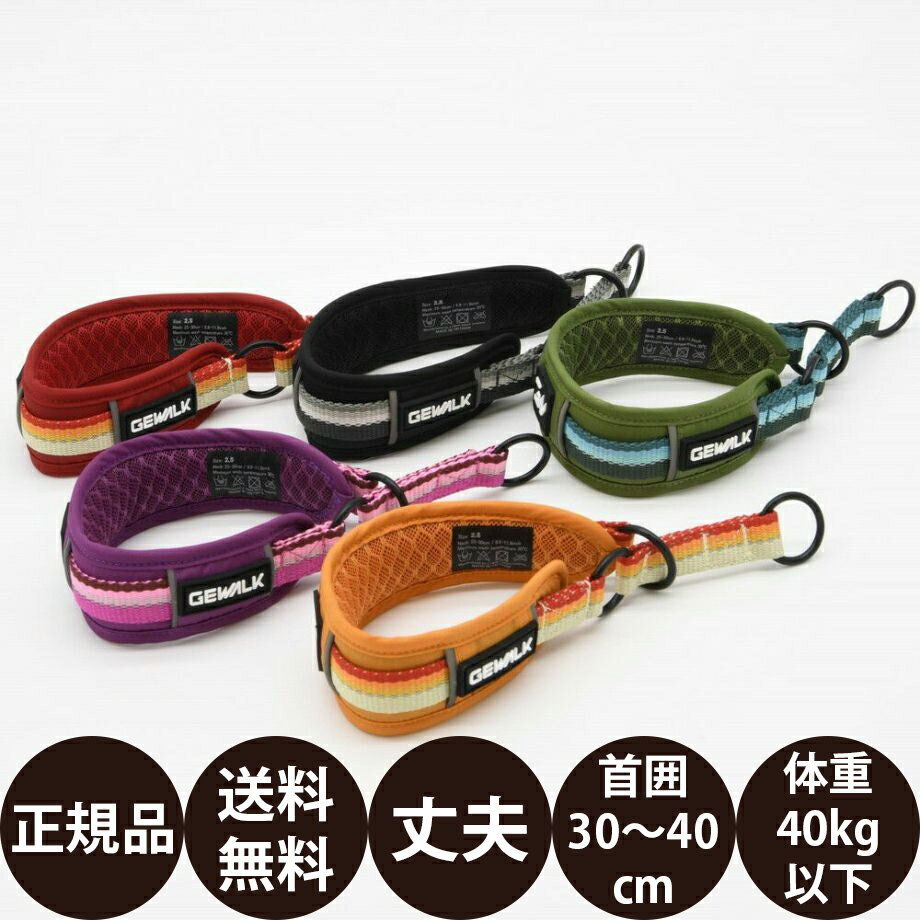 GEWALKハーフチョークカラーエ...