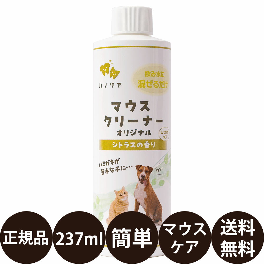 【賞味期限:2027/3/23】[ あす楽 正規品 送料無料 ] KPS ハノケア マウスクリーナー ...