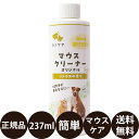 【抽選で最大100%ポイントバック!】 【賞味期限:2027/8/10...(4)