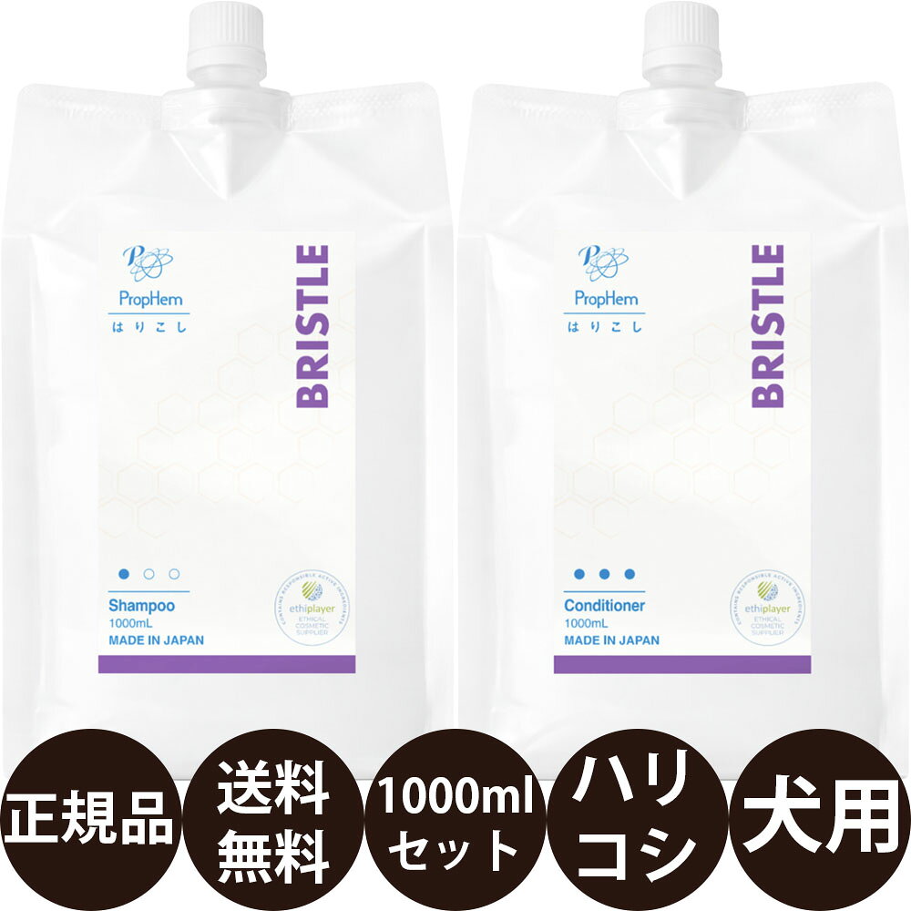 [ 正規品 送料無料 ] プロフェム ブリスルシャンプー ＆ ブリスルコンディショナー 1000ml×2本セット