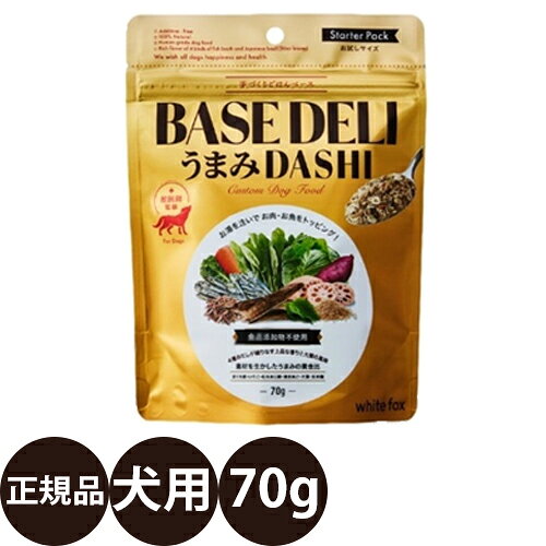  手づくりごはんベース BASE DELI ベースデリ うまみダシ 70g 