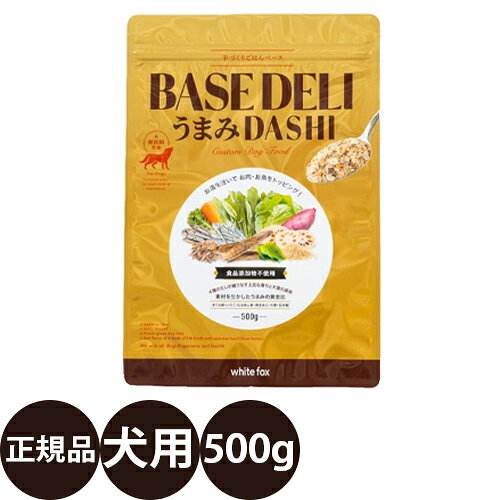   手づくりごはんベース BASE DELI ベースデリ うまみダシ 500g 