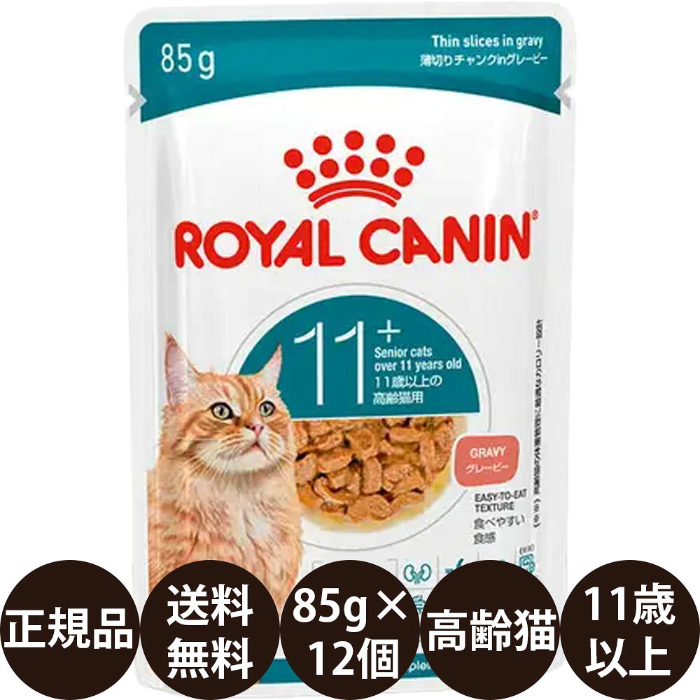 楽天市場】ロイヤルカナン エイジング 12 ウェットの通販
