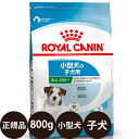 yܖ:2025/4/27z[ y Ki  ] CJi ~jps[ 800g [ ROYAL CANIN CȂ SHN TCY wX j[gV  p qp MINI hCt[h ^̎qp 10܂ ~jWjA ]