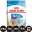 ھ̣:2025/5/20[   ̵ ] 륫ʥ ߥ˥ɥѥԡ 2kg [ ROYAL CANIN 뤫ʤ SHN  إ륹 ˥塼ȥꥷ  Ҹ MINI 褹뾮λҸ 10ޤ ɥ饤ե˥ ]