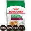 ֡ھ̣:2025/6/5[   ̵ ] 륫ʥ ߥ˥ɥ˥ 800g [ ROYAL CANIN 뤫ʤ SHN  إ륹 ˥塼ȥꥷ   ˥ MINI 褹뾮桦 ɥ饤ե˥ ]פ򸫤