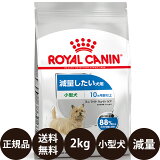 ھ̣:2025/4/21[   ̵ ] 륫ʥ ߥ˥饤ȥȥ 2kg [ ROYAL CANIN 뤫ʤ CCN ʥ  ˥塼ȥꥷ    MINI ɥ饤ա ̤ 10ʾ ]