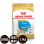 ֡ھ̣:2025/3/12[   ̵ ] 륫ʥ  Ҹ 1.5kg [ ROYAL CANIN 뤫ʤ BREED ֥꡼ إ륹 ˥塼ȥꥷ   Ҹ ɥ饤ա 8ޤ ]פ򸫤