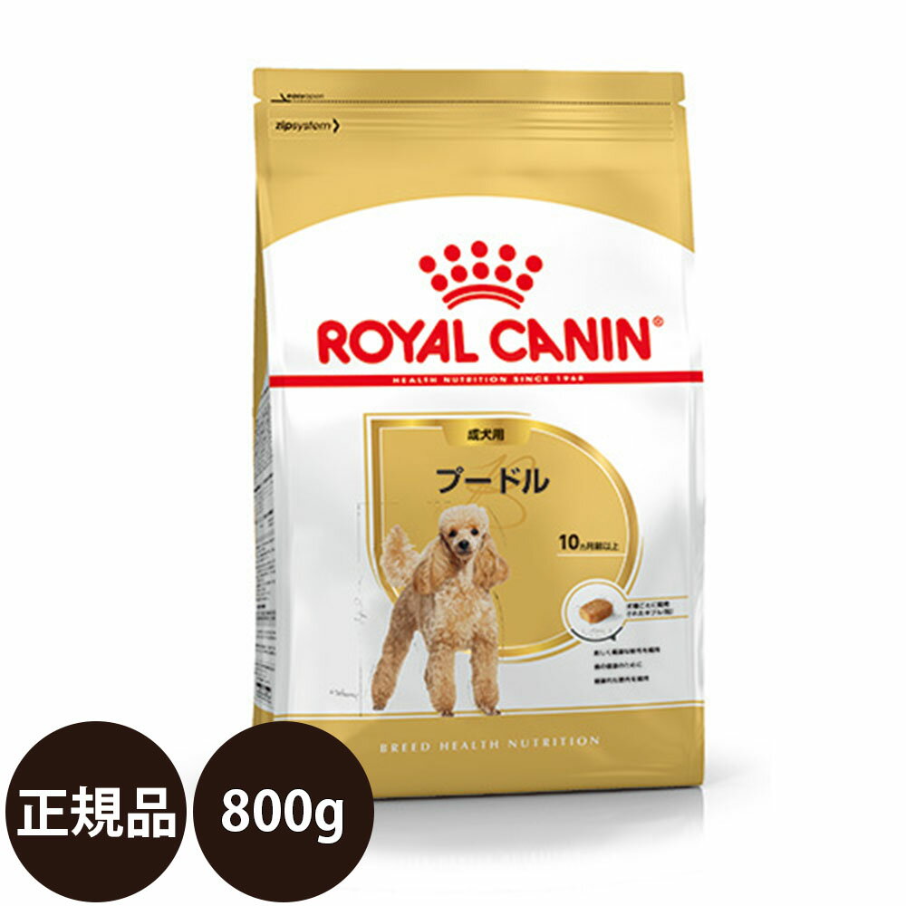  ロイヤルカナン プードル 成犬用 800g 