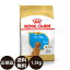 ֡ھ̣:2025/4/8[   ̵ ] 륫ʥ סɥ Ҹ 1.5kg [ ROYAL CANIN 뤫ʤ BREED ֥꡼ إ륹 ˥塼ȥꥷ   Ҹ ɥ饤ա 10ޤ ]פ򸫤