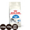  ロイヤルカナン インドア 10kg 