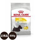 yܖ:2025/2/25z[ y Ki  ] CJi ~j_[}RtH[g 800g [ ROYAL CANIN CȂ CCN P[iC PA j[gV  p ^ MINI hCt[h 畆̌Nێp 10ȏ ]