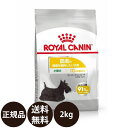 yܖ:2025/3/31z[ y Ki  ] CJi ~j_[}RtH[g 2kg [ ROYAL CANIN CȂ CCN P[iC PA j[gV  p ^ MINI hCt[h 畆̌Nێp 10ȏ ]