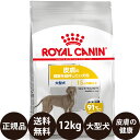 【賞味期限:2024/10/7】 あす楽 正規品 送料無料 ロイヤルカナン マキシダーマコンフォート 12kg ROYAL CANIN ロイヤルかなん CCN ケーナイン ケア ニュートリション 犬 犬用 大型犬 MAXI ドライフード 皮膚の健康を維持したい犬用 15ヵ月齢以上