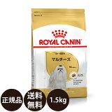 ھ̣:2025/6/19[   ̵ ] 륫ʥ ޥ  1.5kg [ ROYAL CANIN 뤫ʤ BREED ֥꡼ إ륹 ˥塼ȥꥷ     ˥ ɥ饤ա 10ʾ ]