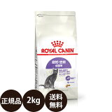 ھ̣:2025/4/15[   ̵ ] 륫ʥ ƥ饤 2kg [ ROYAL CANIN 뤫ʤ FHN ե饤 إ륹 ˥塼ȥꥷ ǥ ǭ ǥ䤹ǭ ]