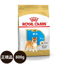 yܖ:2024/12/23z[ y Ki  ] CJi Č qp 800g [ ROYAL CANIN CȂ BREED u[h wX j[gV  p q hCt[h 10܂ ]