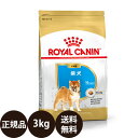  ロイヤルカナン 柴犬 子犬用 3kg 