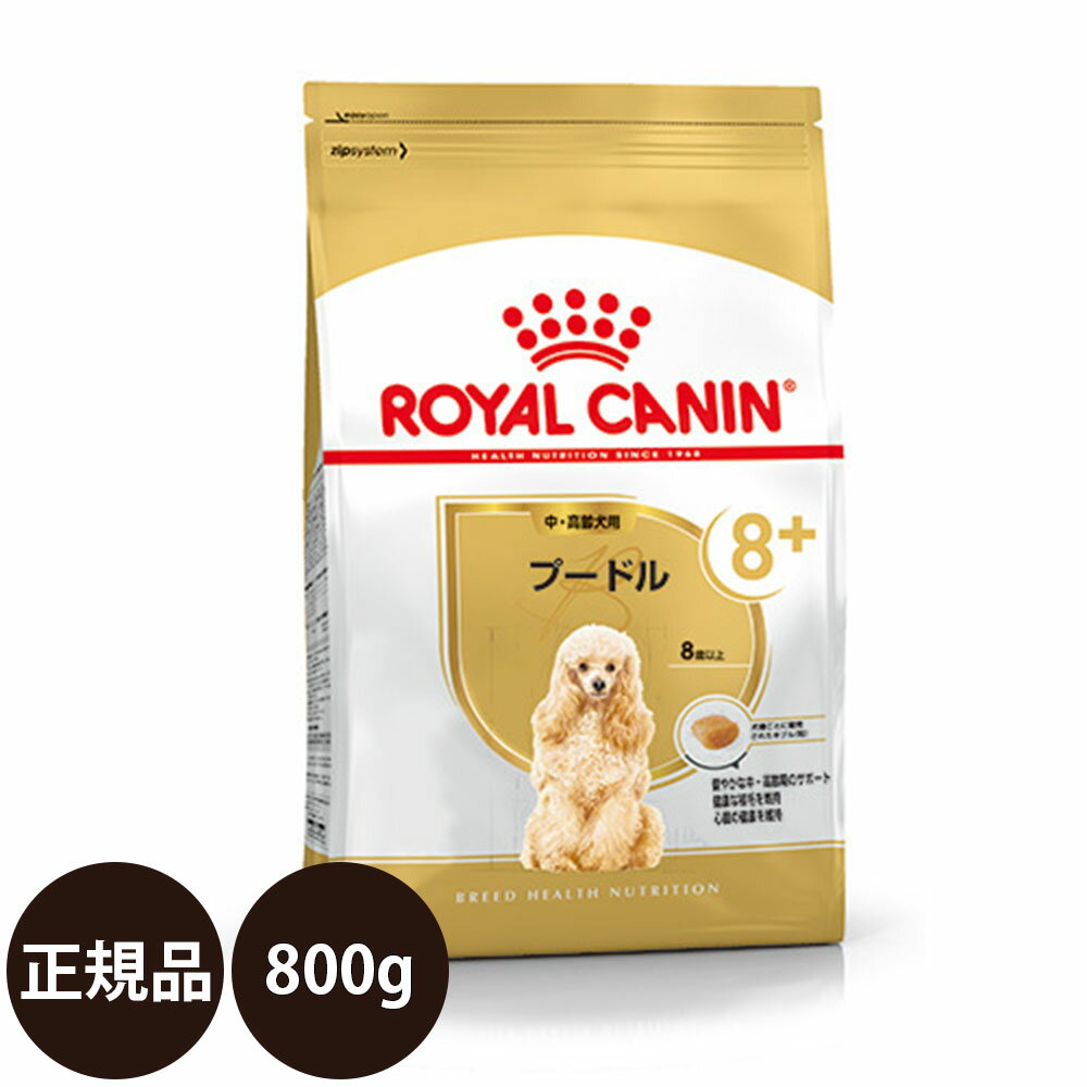 yܖ:2025/4/21z[ y Ki  ] CJi v[h Ep 800g [ ROYAL CANIN CȂ BREED u[h wX j[gV  p  VjA hCt[h 8Έȏ ]