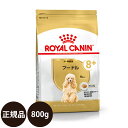 yܖ:2025/4/21z[ y Ki  ] CJi v[h Ep 800g [ ROYAL CANIN CȂ BREED u[h wX j[gV  p  VjA hCt[h 8Έȏ ]