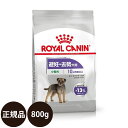 【賞味期限:2025/2/26】 あす楽 正規品 送料無料 ロイヤルカナン ミニステアライズド 800g ROYAL CANIN ロイヤルかなん CCN ケーナイン ケア ニュートリション 犬 犬用 小型犬 MINI ドライフード 避妊 去勢犬用 10ヵ月齢以上