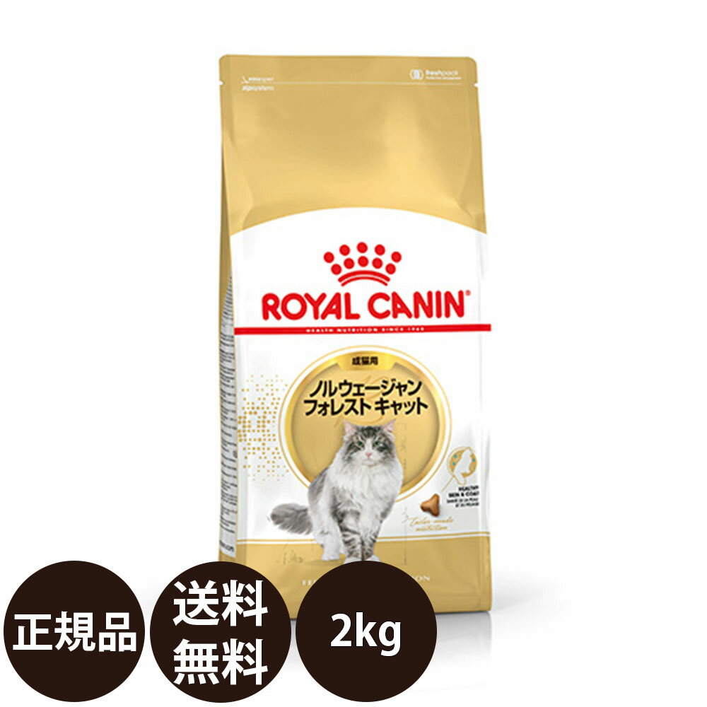  ロイヤルカナン ノルウェージャンフォレストキャット 2kg 