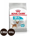 yܖ:2024/12/22z[ y Ki  ] CJi ~ji[PA 800g [ ROYAL CANIN CȂ CCN P[iC PA j[gV  p ^ MINI hCt[h NȔAێp 10ȏ ]