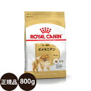 【賞味期限:2024/12/20】 あす楽 正規品 送料無料 ロイヤルカナン ポメラニアン 成犬～高齢犬用 800g royalcanin ロイヤルかなん BHN ブリードヘルスニュートリション 8ヵ月齢以上 犬 成犬 高齢犬 シニア ドッグフード 総合栄養食