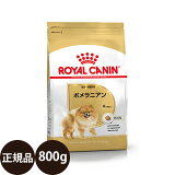 ھ̣:2024/12/20[   ̵ ] 륫ʥ ݥ˥  800g [ royalcanin 뤫ʤ BHN ֥꡼ɥإ륹˥塼ȥꥷ 8ʾ    ˥ ɥåա ܿ ]