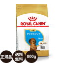 【賞味期限:2025/2/20】 あす楽 正規品 送料無料 ロイヤルカナン ダックスフンド 子犬用 800g ROYAL CANIN ロイヤルかなん BREED ブリード ヘルス ニュートリション 犬 犬用 子犬 ドライフード 10ヵ月齢まで