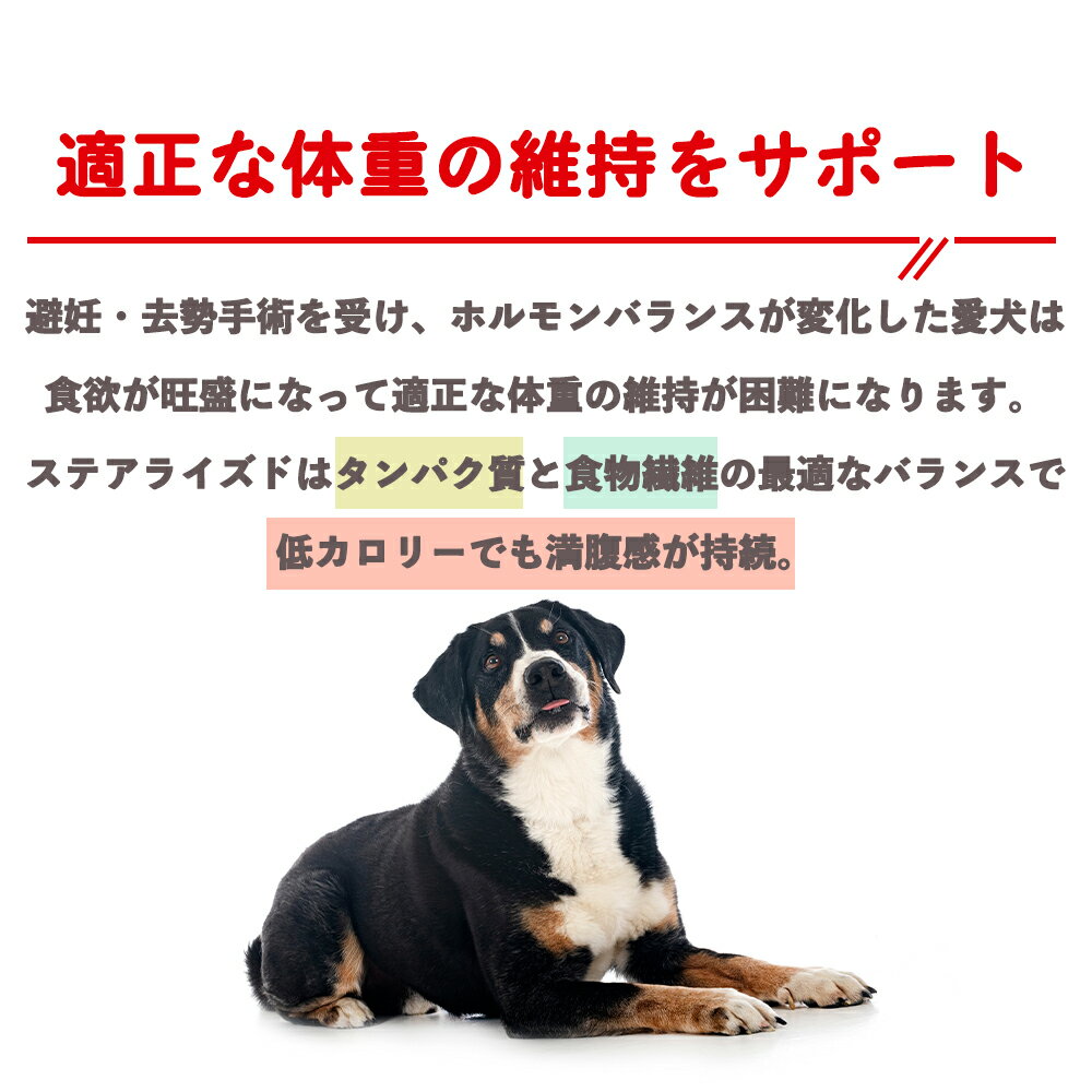 【賞味期限:2027/1/26】[ 正規品 送料無料 ] ロイヤルカナン ミディアムステアライ...