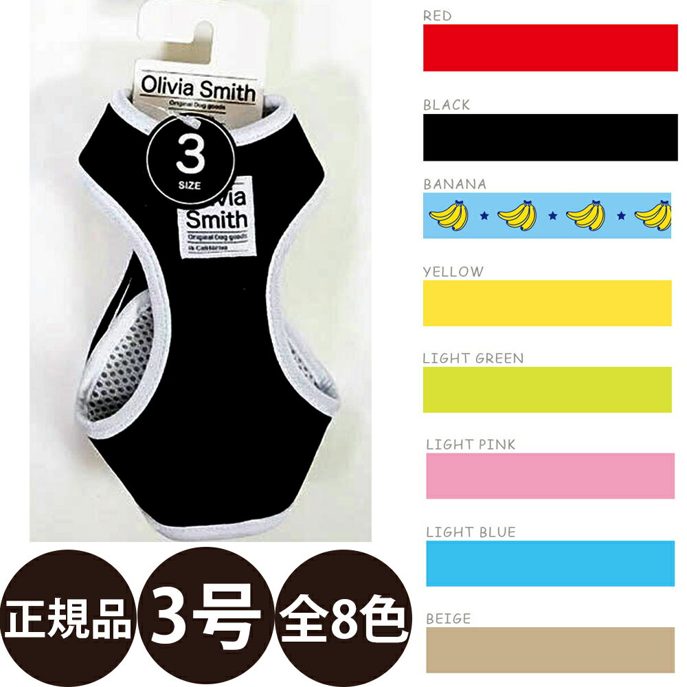 [ ������ ] ���ɾ��� ����ӥ����ߥ� �٥��ȥϡ��ͥ� 3�� [ �� ���� ����ӥ����ߥ� �ϡ��ͥ� �İ��� ���� ]