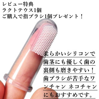 犬 猫 サプリメント ラクトテウス日本製 犬猫用 サプリメント 定形外発送