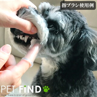 犬 猫 サプリメント ラクトテウス日本製 犬猫用 サプリメント 定形外発送