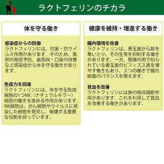 犬 猫 サプリメント ラクトテウス日本製 犬猫用 サプリメント 定形外発送