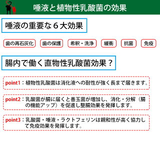 犬 猫 サプリメント ラクトテウス日本製 犬猫用 サプリメント 定形外発送