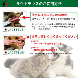 犬 猫 サプリメント ラクトテウス日本製 犬猫用 サプリメント 定形外発送