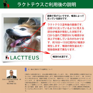 犬 猫 サプリメント ラクトテウス日本製 犬猫用 サプリメント 定形外発送