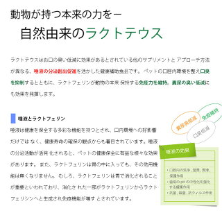 犬 猫 サプリメント ラクトテウス日本製 犬猫用 サプリメント 定形外発送