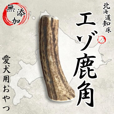 鹿角ガム 天然エゾ鹿角 北海道知床のエゾ鹿の角 犬 おもちゃ おやつ シカツノ 鹿の角でいたずら防止 サイズ小