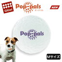 ＼全品10%割引クーポン／犬のおもちゃ プラッツ PLATZ GiGwi ポップパル M 1個