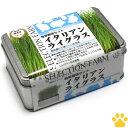 【スペック】 サイズ(最大値)約12.2×8.0×高さ5.0cm＊詳細は画像をご覧下さい。 対象うさぎ、モルモット、チンチラ、プレーリードッグ、デグー、ハムスター、他 発芽率80％ 発芽適温20～30℃ 栽培適温20℃前後 栽培難易度★★＊同シリーズのラインナップを★～★★★で比較した場合 セット内容スチール缶、ココヤシ圧縮土2個、種4g、取扱説明書 品質保証期限製造から18ヵ月＊実際にお届けする商品の期限ではございません。 生産国アメリカ(種) 【特徴】 ———————————————————————— ●容器、土、種が揃った牧草栽培セットです。楽しく育てて、おいしく新鮮な生牧草をあげることができます。 ●イタリアンライグラスは風味豊かな牧草で、発芽から収穫まで1～2週間が目安です。同シリーズのラインナップの中ではやや早く成長し、収穫目安の草丈10cmの若葉は細くてやわらかめです。 ●匂いがあるものを好む子、食が細めな子にオススメです。 ●気温等の栽培環境が整っていれば、年中栽培することができます。 ●容器は、シンプルで美しいサテン材スチール缶で、再利用できるため何度も栽培に挑戦できます。 ●土は、ヤシ殻由来の繊維を圧縮したココヤシ圧縮土が採用され、合成肥料や有機肥料等不使用で安全性に配慮されています。植物由来のため、栽培後は可燃ごみとして破棄できます。 ●種は、安全な無消毒です。 ●付属の土や種がなくなっても、別売のリフィル(土・種)で繰り返し栽培が可能です。 ———————————————————————— ・天然のものを使用されているため、稀に他の種類の種や葉っぱ等が混在する場合がありますが、不良品ではなく品質に問題はありません。混在物は取り除いて種をまいてください。 ・乾燥牧草と比較して水分含有量が多いため、1日の給与量はおやつや食事のアクセントに程度にし、あげすぎにご注意ください。 ・容器や土を口に入れる場合があるため、容器のままあげないでください。 ・胃腸の状態が不安定な成長期の子にはあげないでください。 ・栽培方法は、画像と取扱説明書をご確認ください。 ・本製品は収穫を必ず保証するものではありません。 ・「牧草栽培セット リフィル イタリアンライグラス」も販売しております。 ・「牧草栽培セット イタリアンライグラス リフィル付き」も販売しております。 商品区分：小動物用牧草、おやつ メーカー：イースター（ペットフードに特化し、犬から観賞魚用まで様々なフードを製造・販売されています。）