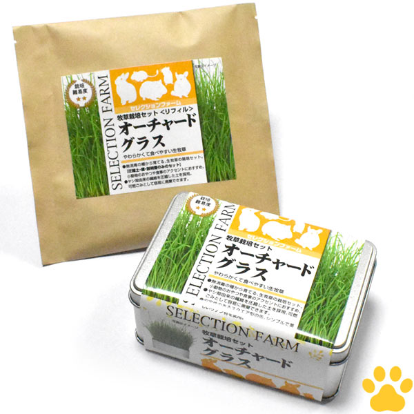 【20】[栽培期限：2024/11/30][正規品] イースター　セレクションファーム　牧草栽培セット　オーチャードグラス　リフィル付き生牧草　種＋土＋容器　うさぎ　モルモット　チンチラ　ハムスター　草食　小動物　おいしい　おやつ　若葉　栽培キット　SELECTION FARM