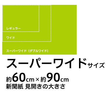 【200】[約25円/1枚] 薄型 プラス　ペットシーツ　スーパーワイド (ダブルワイド)　240枚 (60枚×4袋)犬 猫 うさぎ 小動物 ペットシート トイレシート トイレシーツ おしっこシート シーツ ホワイト 約60×90cm 業務用 ケース販売 送料無料 スタイルプラス