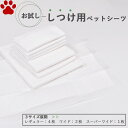【0】 お試し販売 / 厚型 しつけ用 ペットシーツ におい付き レギュラー 4枚 ワイド 2枚 スーパーワイド 1枚ペットシート トイレシーツ トイレシート