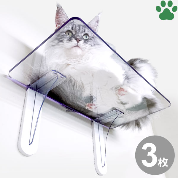 楽天ナチュラルスタイル for Pets【0】[3個セット] タカラ産業　キャットステップ石膏ボード　石こうボード　木材　コンクリート　壁面取付　猫用　ステップ　キャットウォーク　テラス　壁　クリア　透明　ホワイト　白　可愛い　オシャレ　シンプル　インスタ映え　肉球　Cat Steps　PC4022-3S