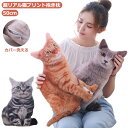 洗える プリント プレゼント フリーカットクッション 猫 愛犬 猫 インテリア 愛猫 高さ50cm クッション ネコクッション 猫 ねこ猫クッション ねこクッシ...