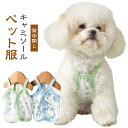 犬 猫 犬服 猫服 春 夏 夏服 背中開き 着せやすい 涼感 冷感 クール ひんやり 背中閉じ 犬の服 猫の服 猫用 犬用服 背開きキャミソール お出かけ 涼しい 犬洋服 ドッグウェア ペット服 サラサラ かわいい 虫よけ 日焼け防止 おしゃれ 後ろボタン 子犬 小型犬 中型犬