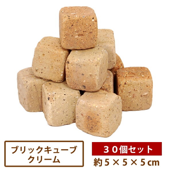 ブリックキューブ クリーム 30個入 【送料無料】[煉瓦 ガーデニング DIY れんが 敷材 昭光物 花壇 庭 昭光物産 ]